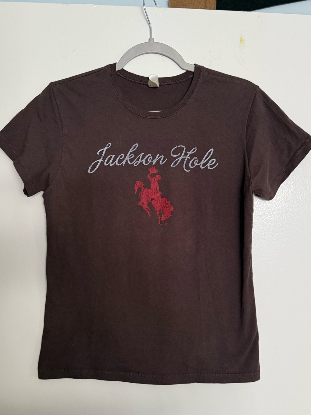 Blue Sky Brown Jackson Hole Short Sleeve Tee with Red Graphic